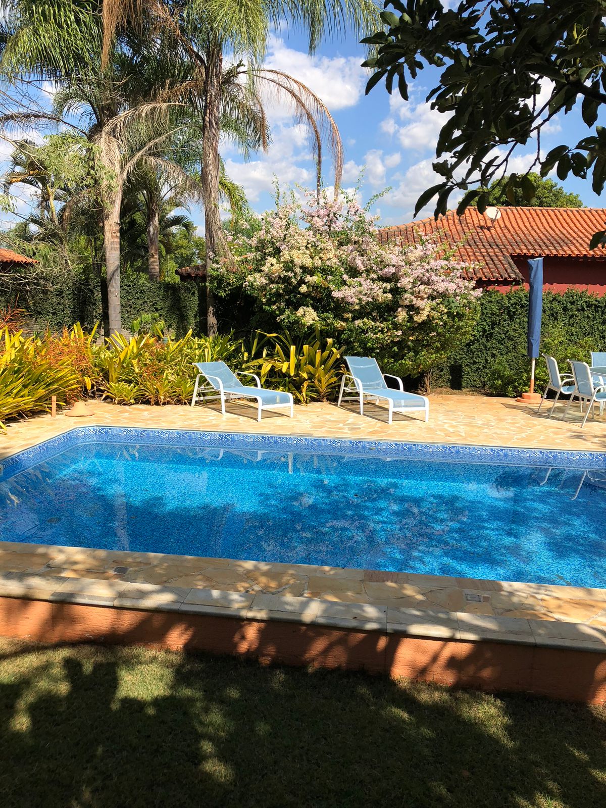 Projetos com transformação de energia segundo o Feng Shui e Radiestesia